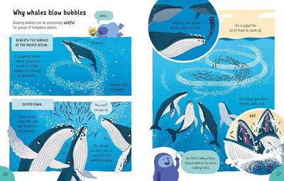 Educational Kids Book – Random Title from “100 Things to Know About” Series